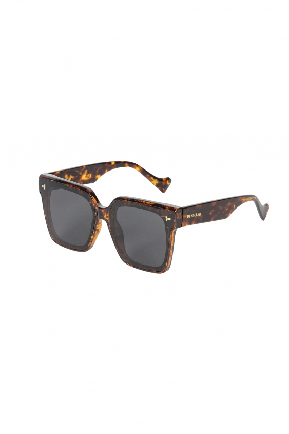 Sunglasses with brown frames