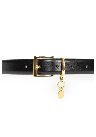 Czarny pasek ze złotą ozdobą