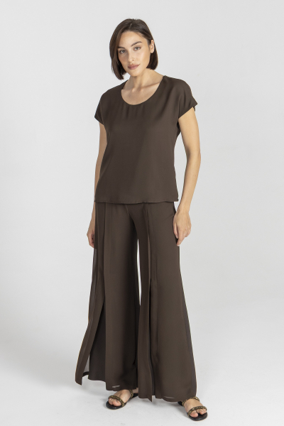 Brown short-sleeved blouse